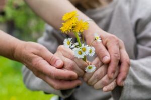 Bild: Hände fassen andere Hände mit einer Blume in der Mitte