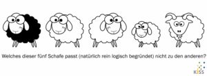 Bild: verschiedene Schafe