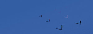Banner: Nicht allein