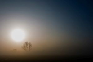 Bild: Wintertag, die Sonne geht am Horizont auf und strahlt einen Baum an