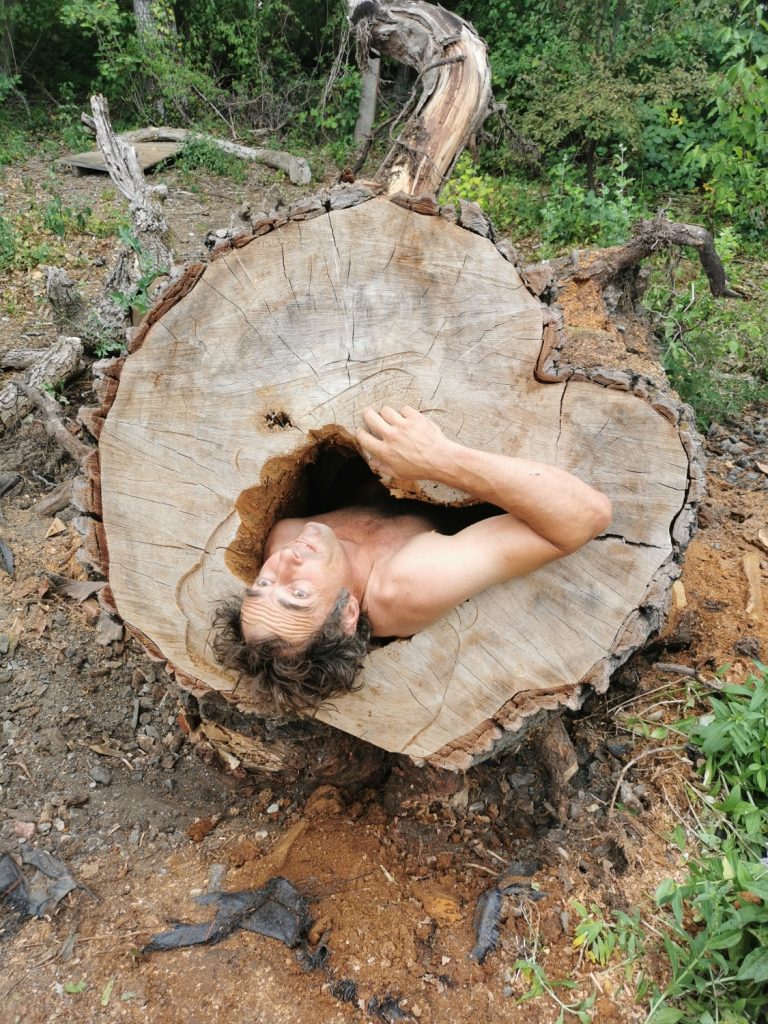 Bild: Nackter Künstler in ausgehöhltem Baumstamm