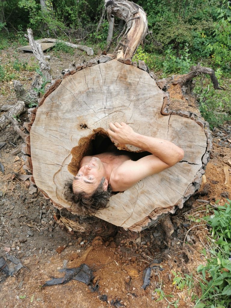 Putze_aktuell (2) Bild: Nackter Künstler in ausgehöhltem Baumstamm
