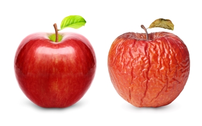 BIld: ein frischer Apfel und ein runzeliger Apfel